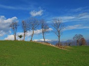 62 Sugli ampi verdi pascoli panoramici del Ronco